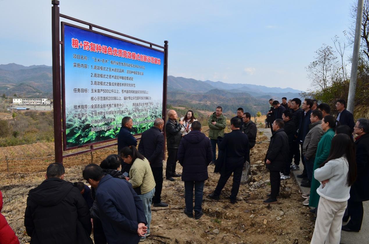 132247852.jpg 788e1005ff40ad8ba829b8d8a14e4b02_20241213093540.jpg