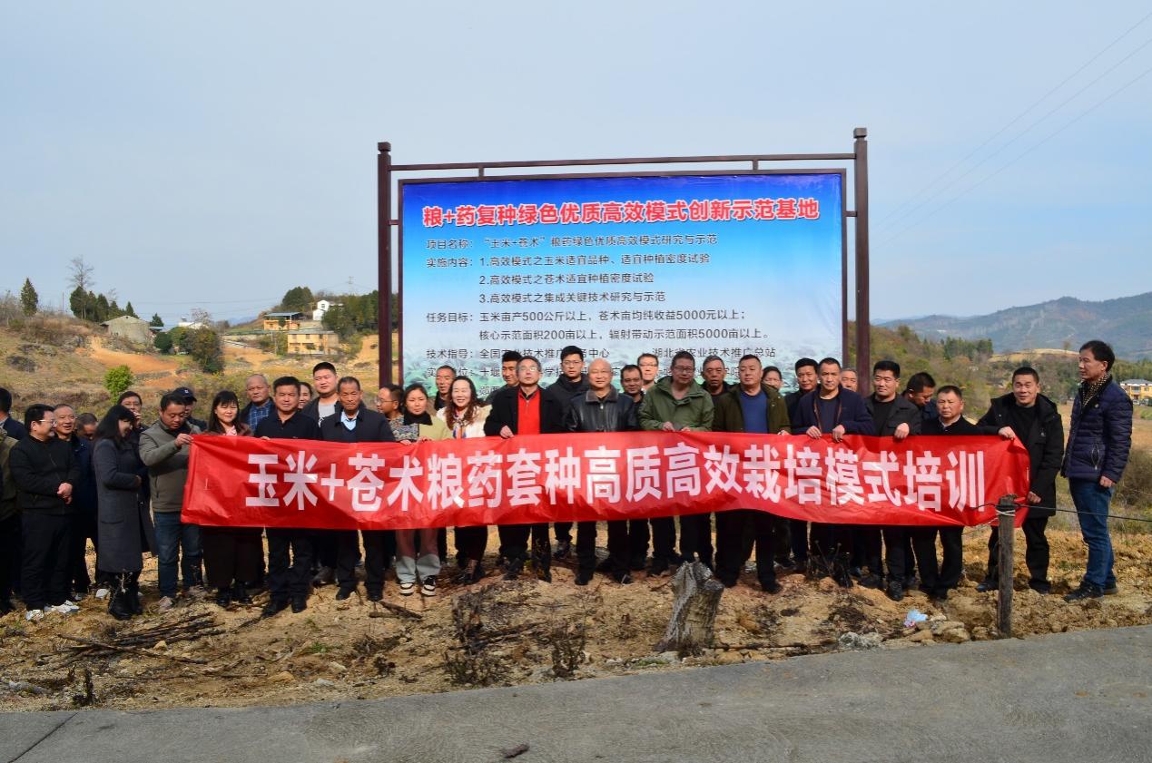 132307114.jpg 78201982e7fd1bd10e026891052dc9ce_20241213093552.jpg