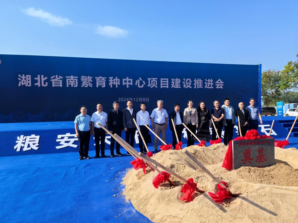 095011268.jpg 图片1.jpg