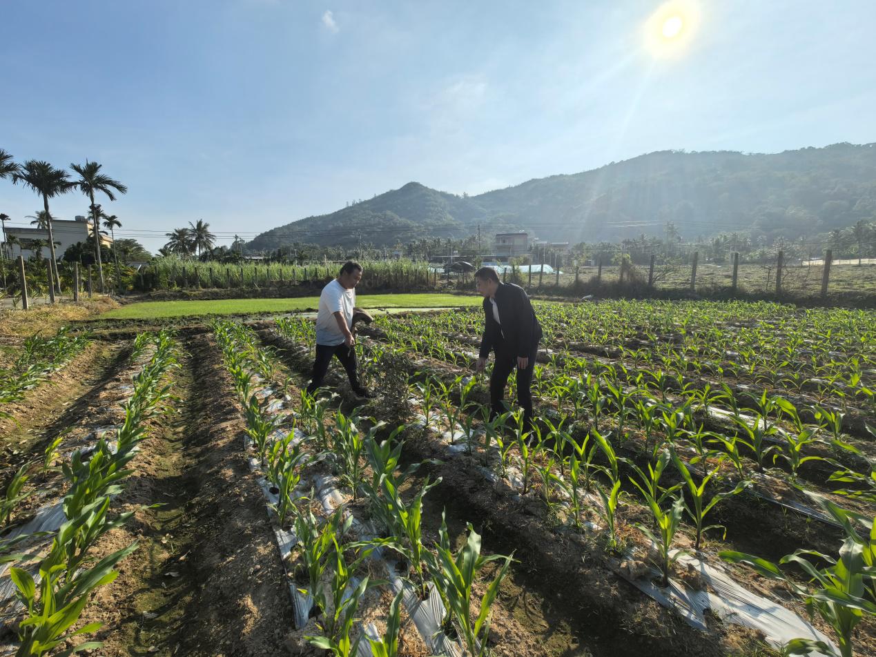 095024151.jpg 图片2.jpg