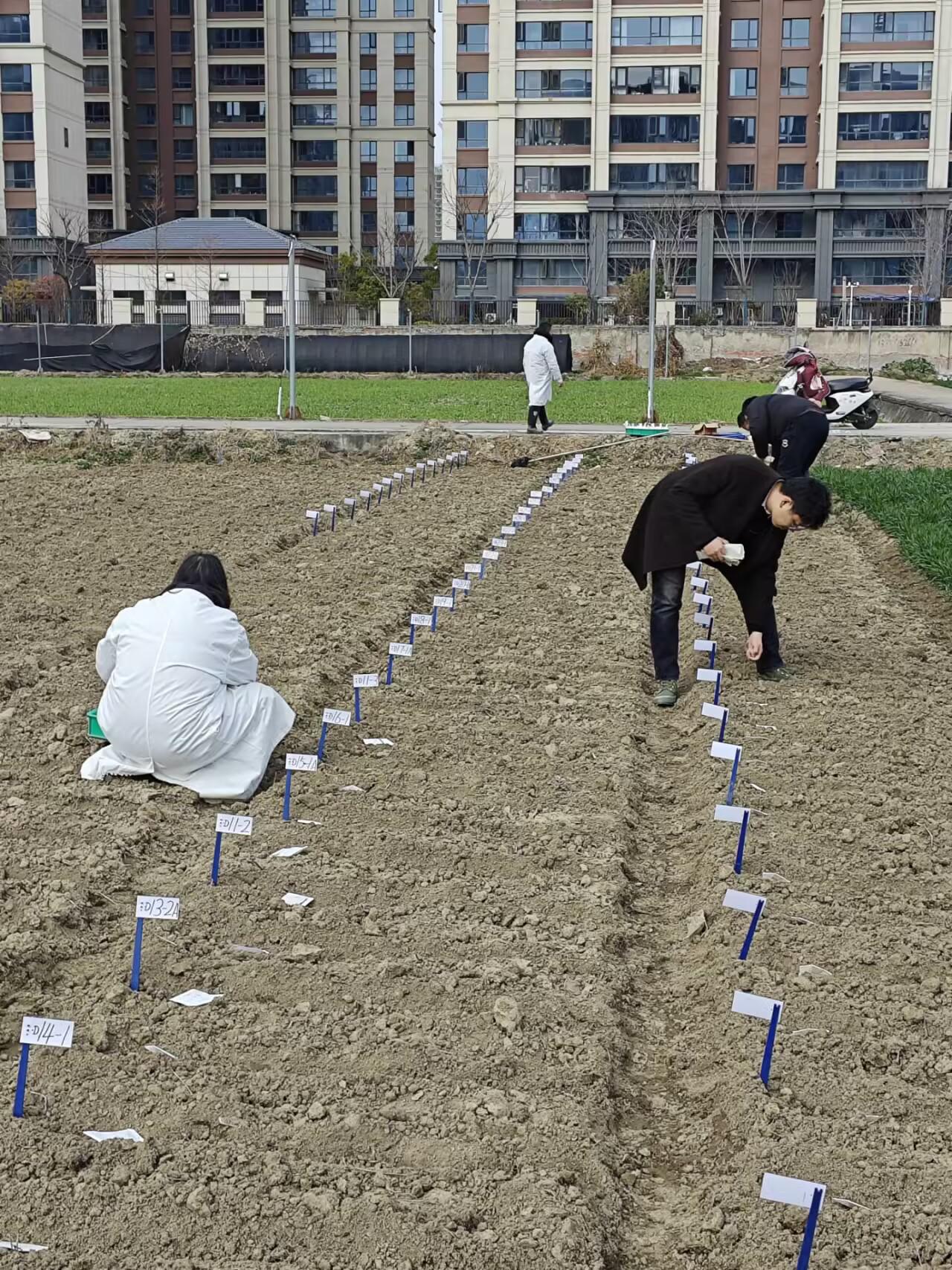 101545111.jpg 图片1.jpg