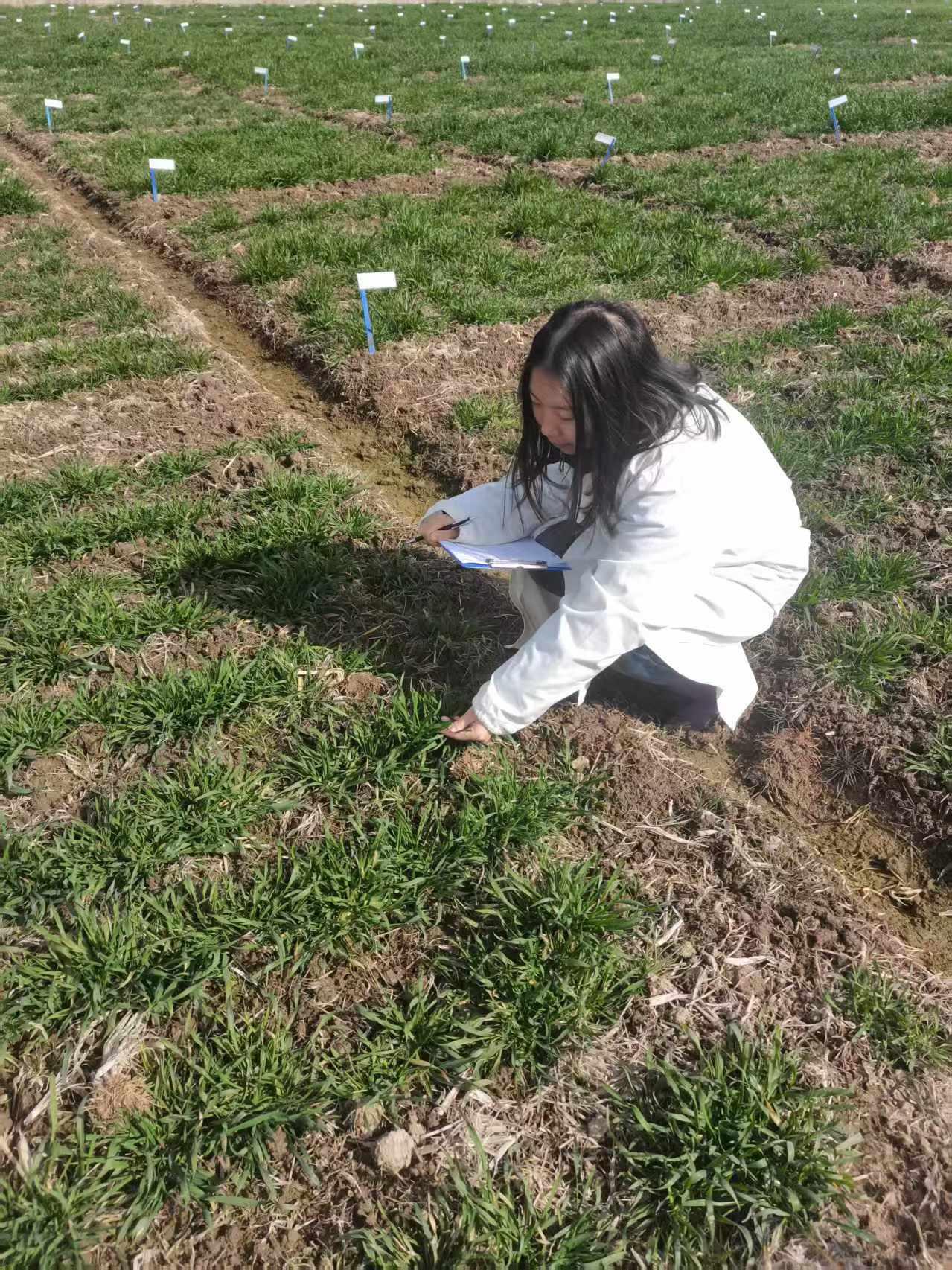 101608100.jpg 图片2.jpg