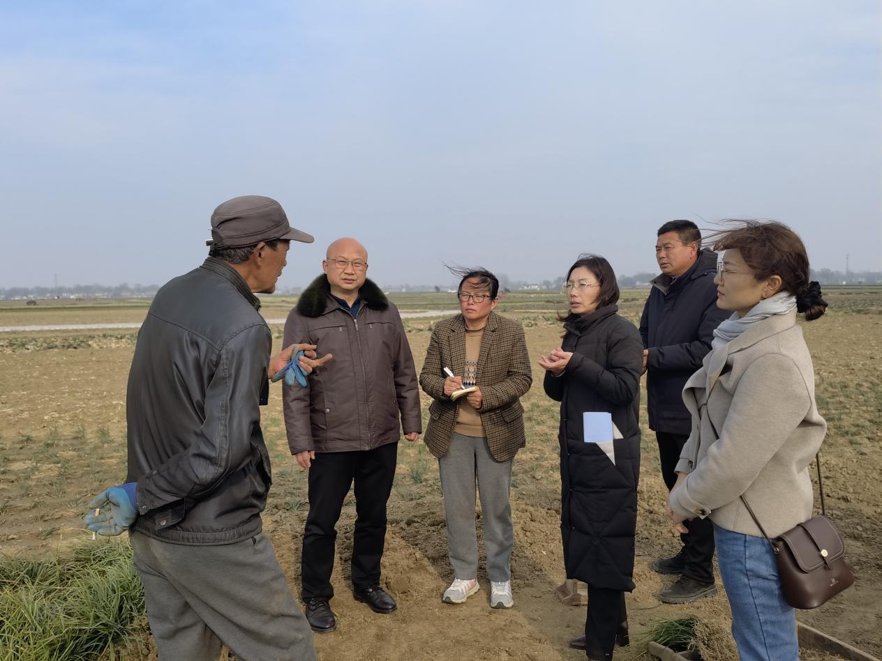 091405764.jpg 图片2.jpg