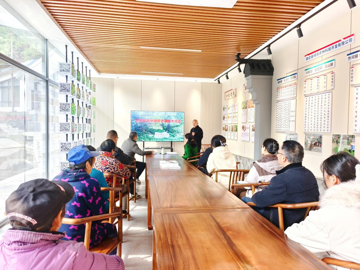 091502228.jpg 图片3.jpg