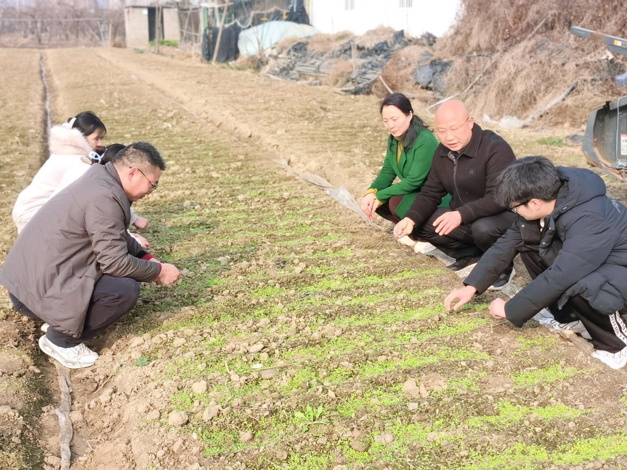 091522345.jpg 图片4.jpg