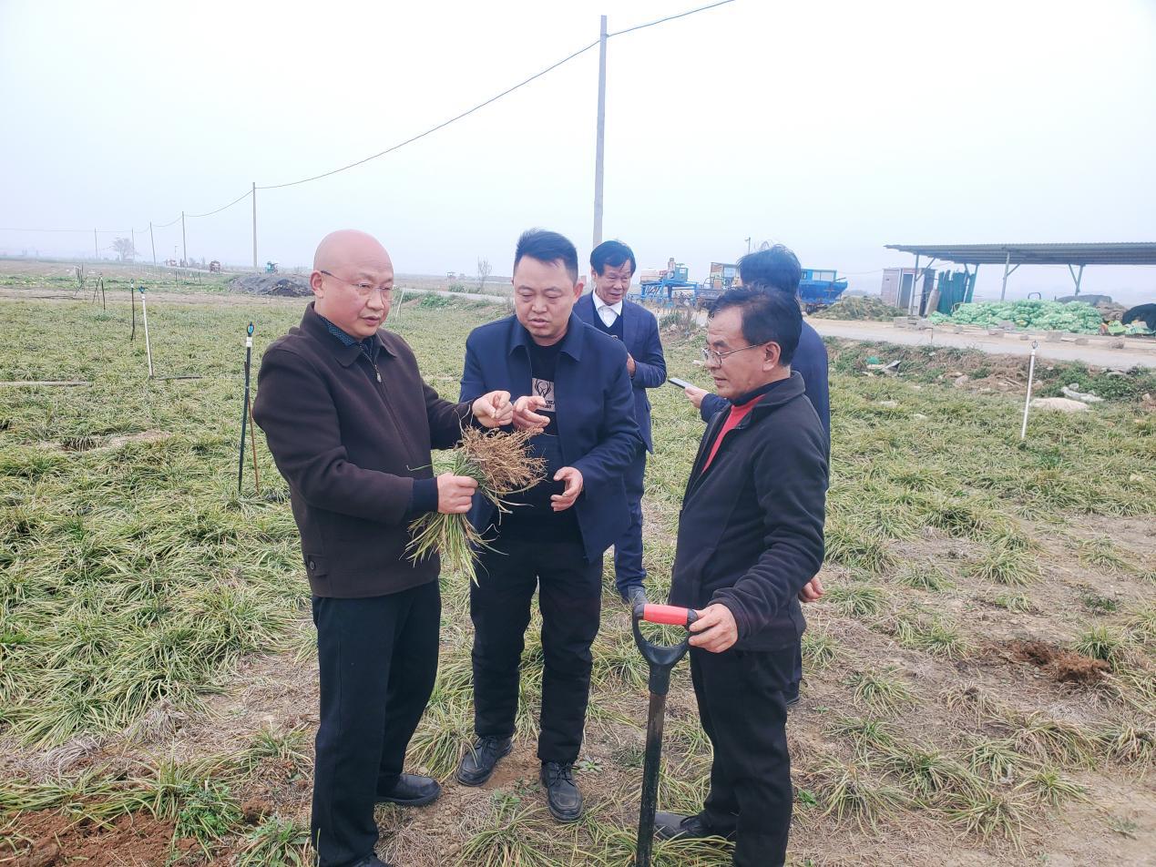 091638119.jpg 图片5.jpg