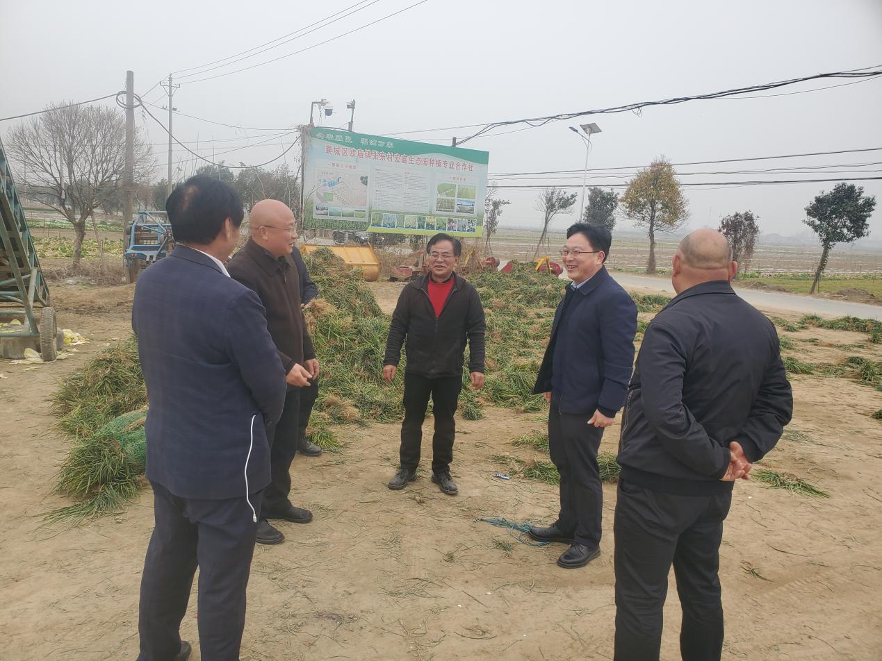 091651131.jpg 图片6.jpg