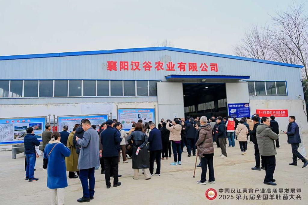 105940185.jpg 图片2_副本.jpg