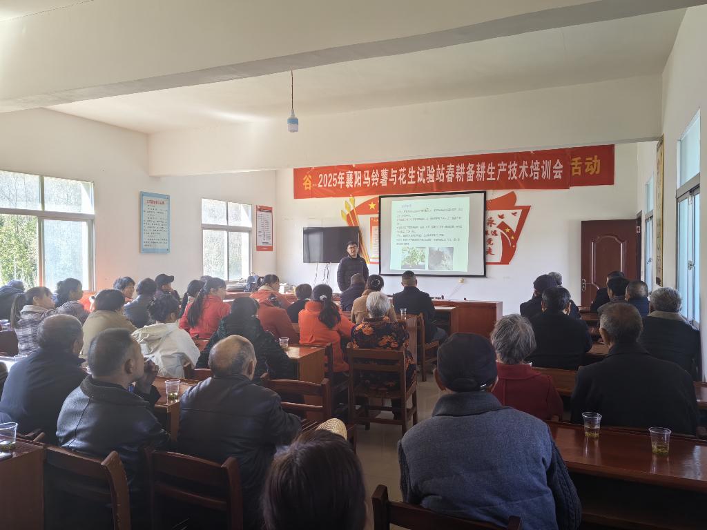 110739228.jpg 图片2_副本.jpg