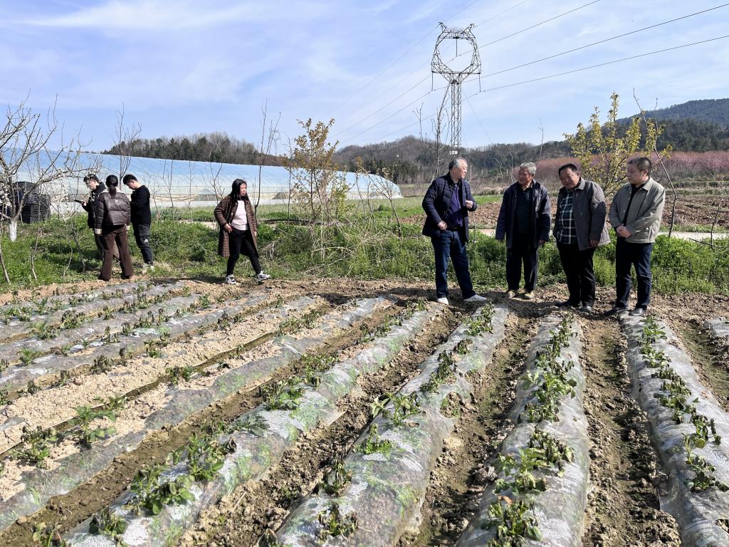 110749105.jpg 图片3_副本.jpg