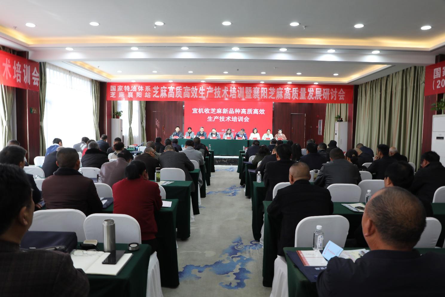 092353131.jpg 092353131.jpg