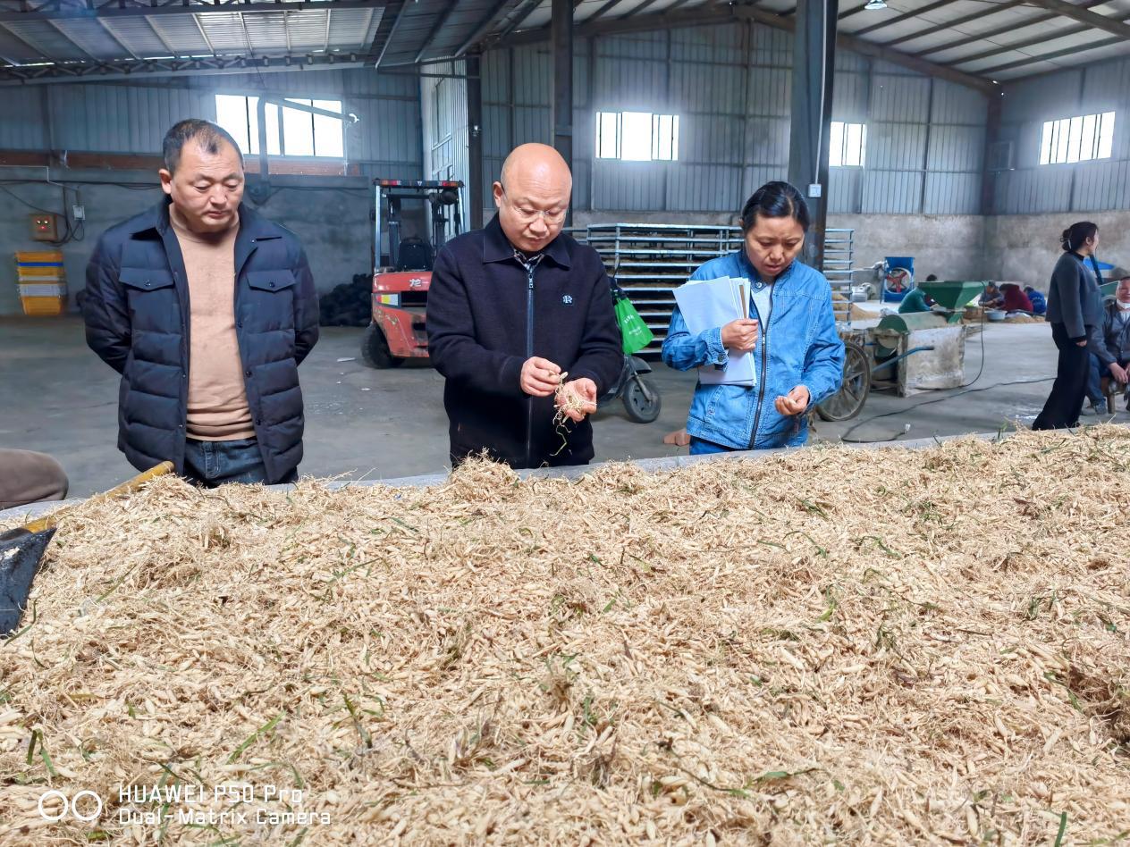 104831112.jpg 104831112.jpg