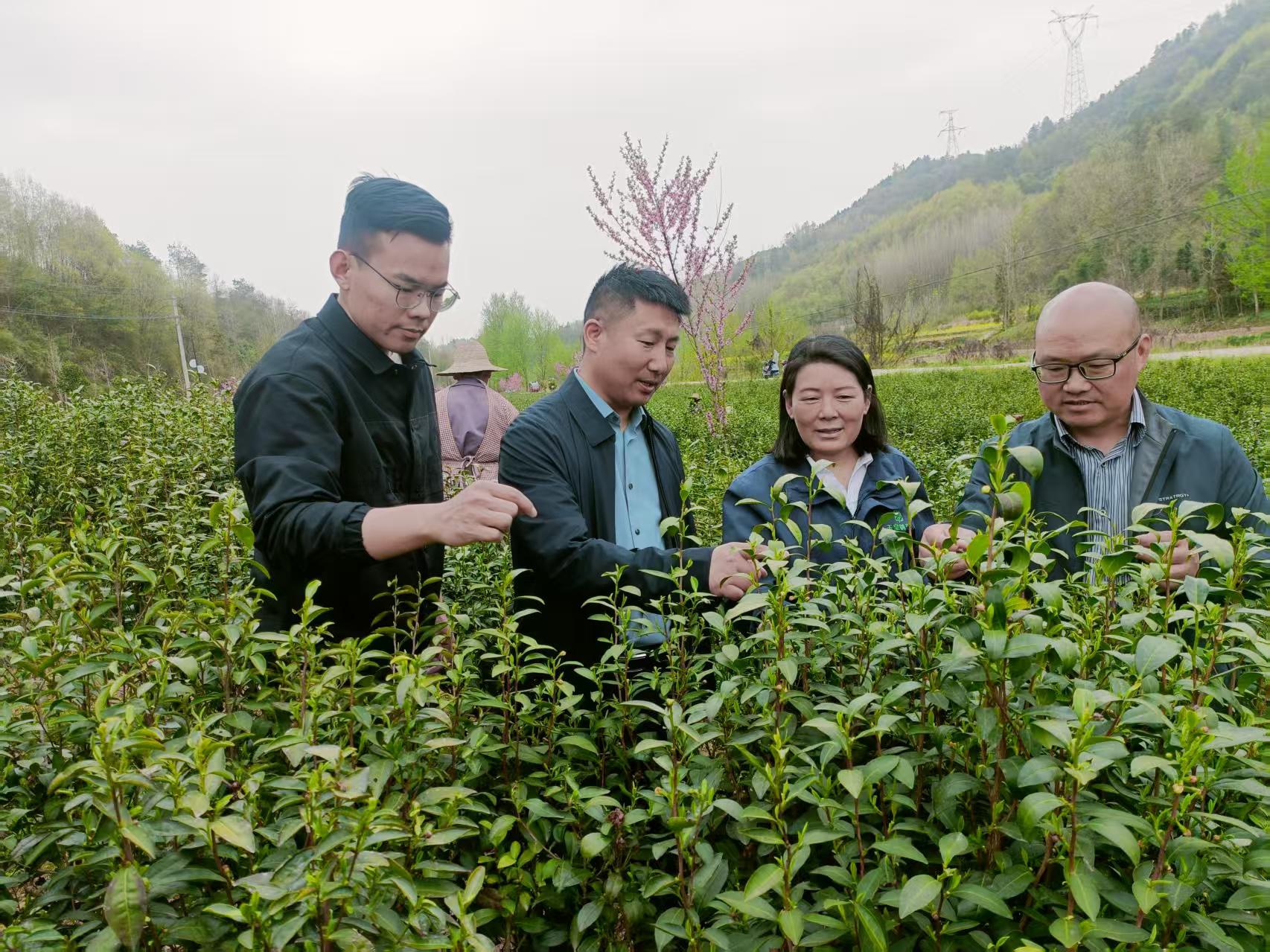 094936140.jpg 094936140.jpg