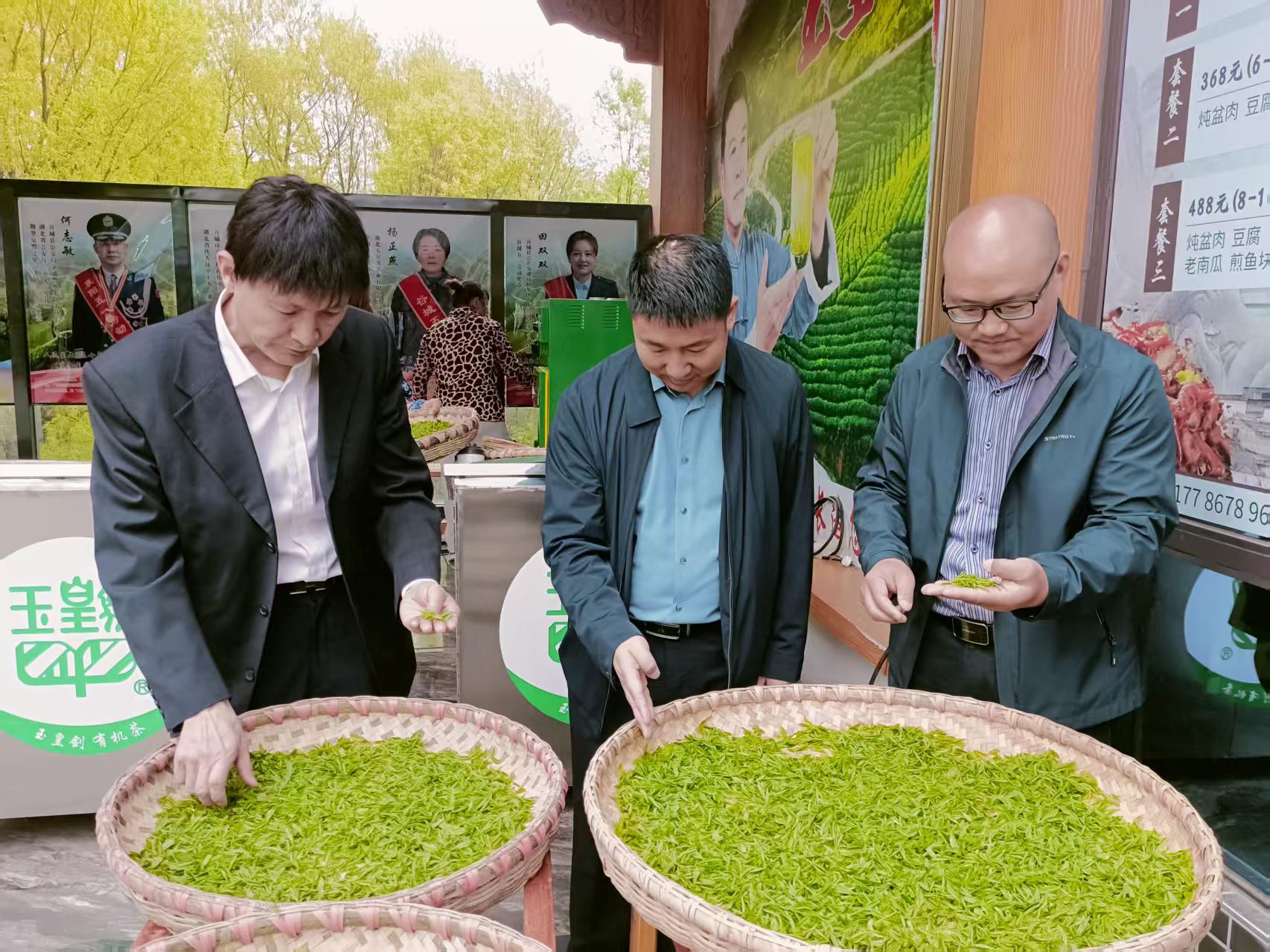 095027575.jpg 095027575.jpg