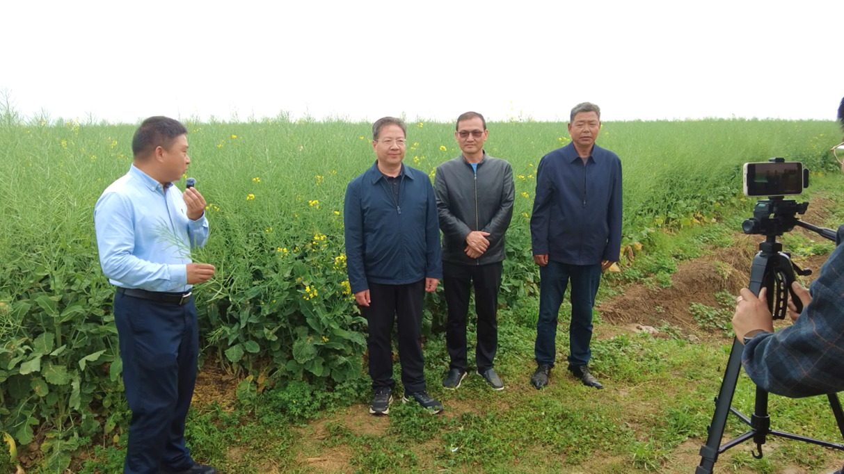 162913636.png 162913636.png