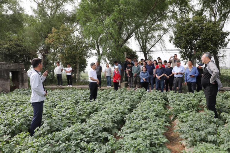 181025312.jpg 图片1_副本.jpg