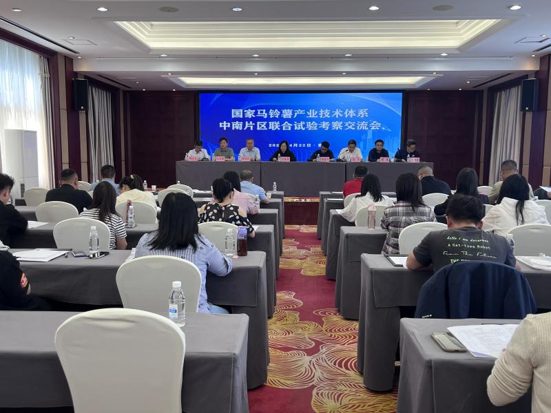 181034100.jpg 图片2_副本.jpg