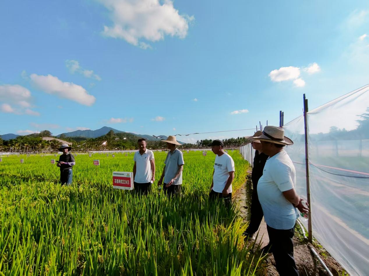 090211417.jpg 090211417.jpg