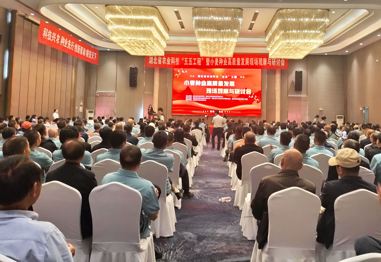 161016812.png 161016812.png