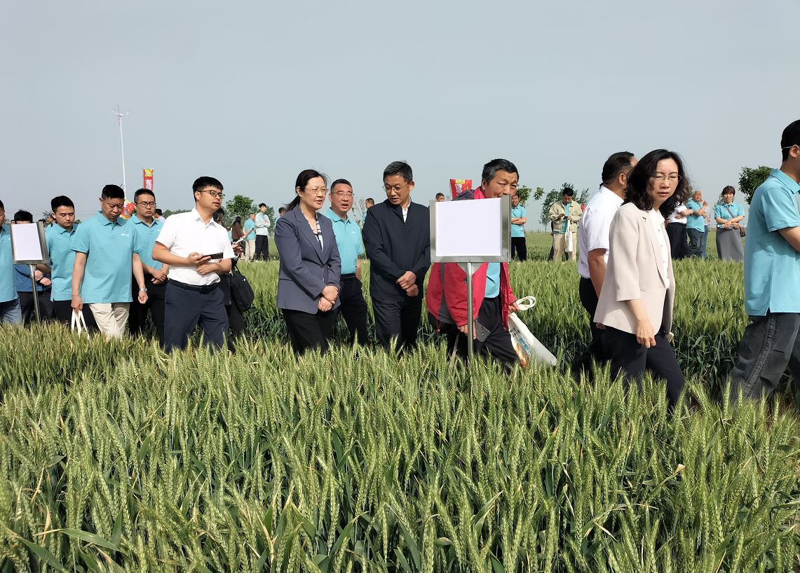 161026197.png 161026197.png