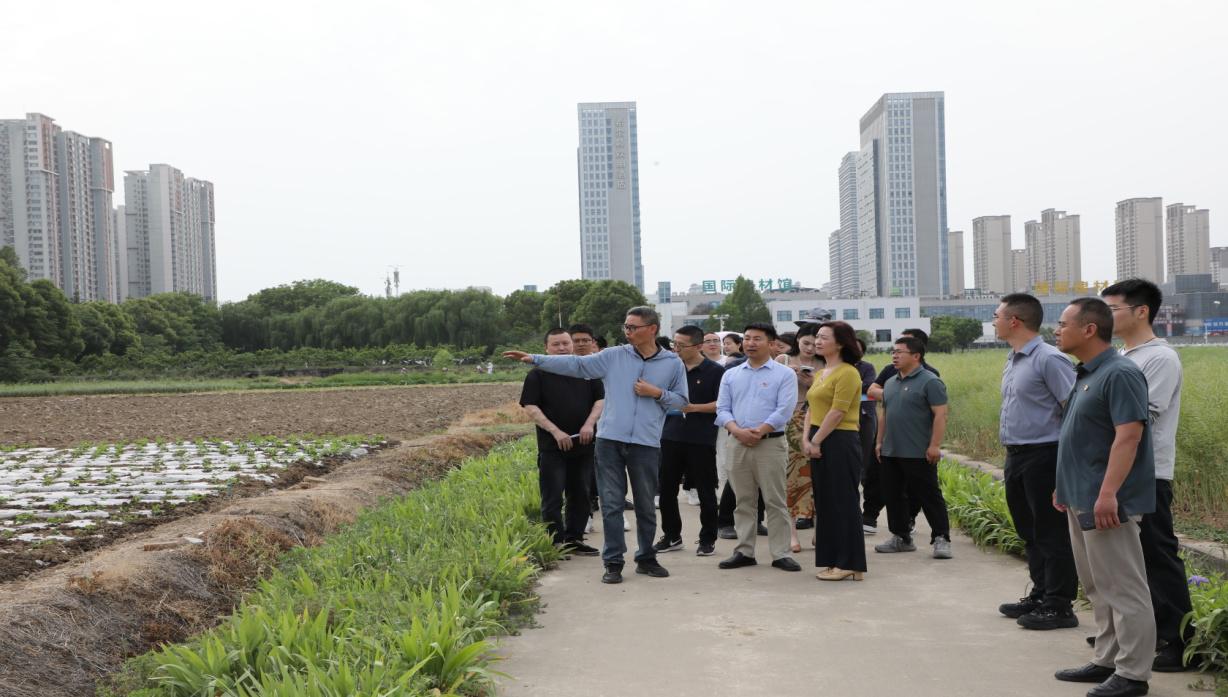 161649130.jpg 161649130.jpg