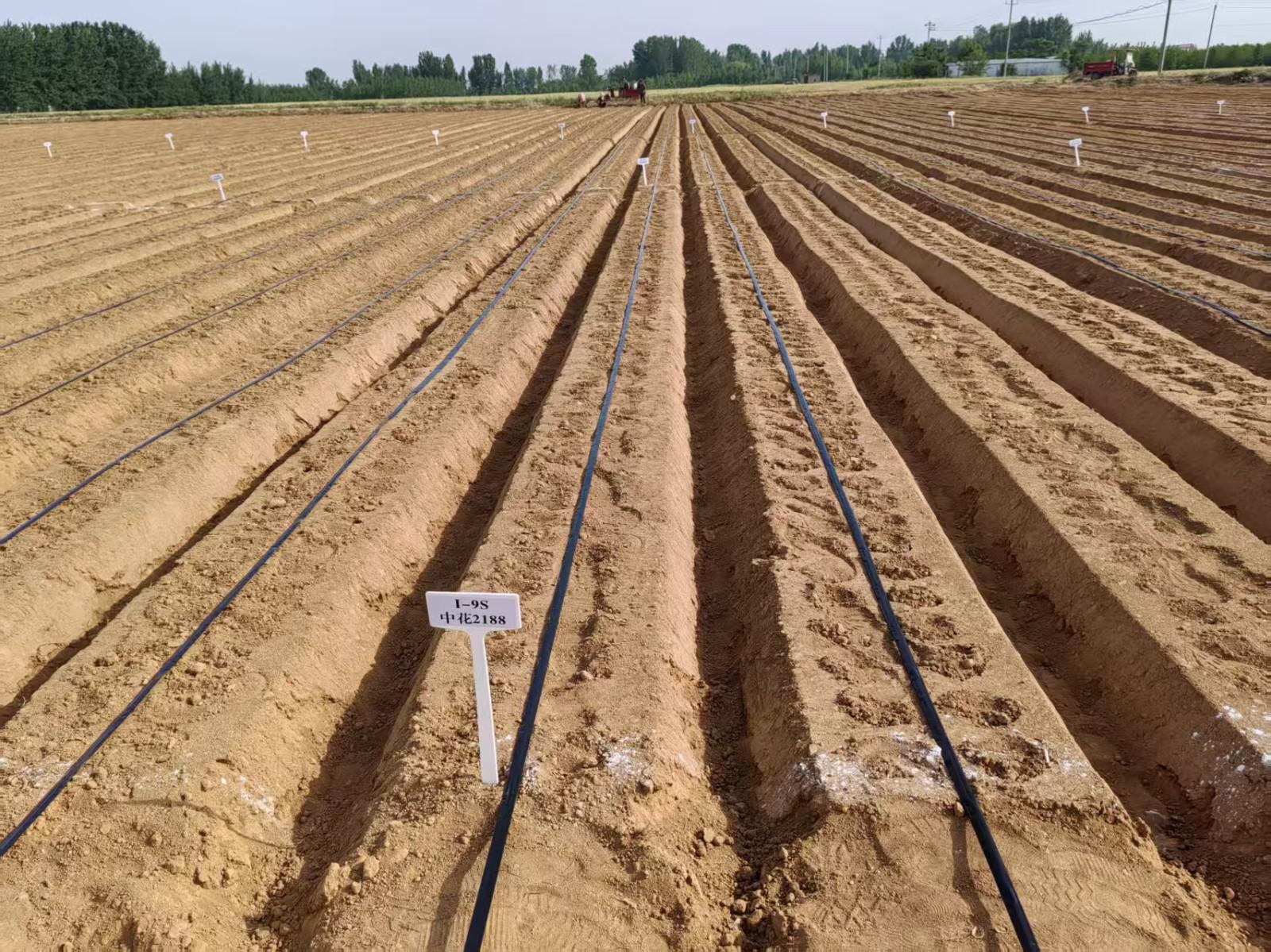 150623114.jpg 150623114.jpg