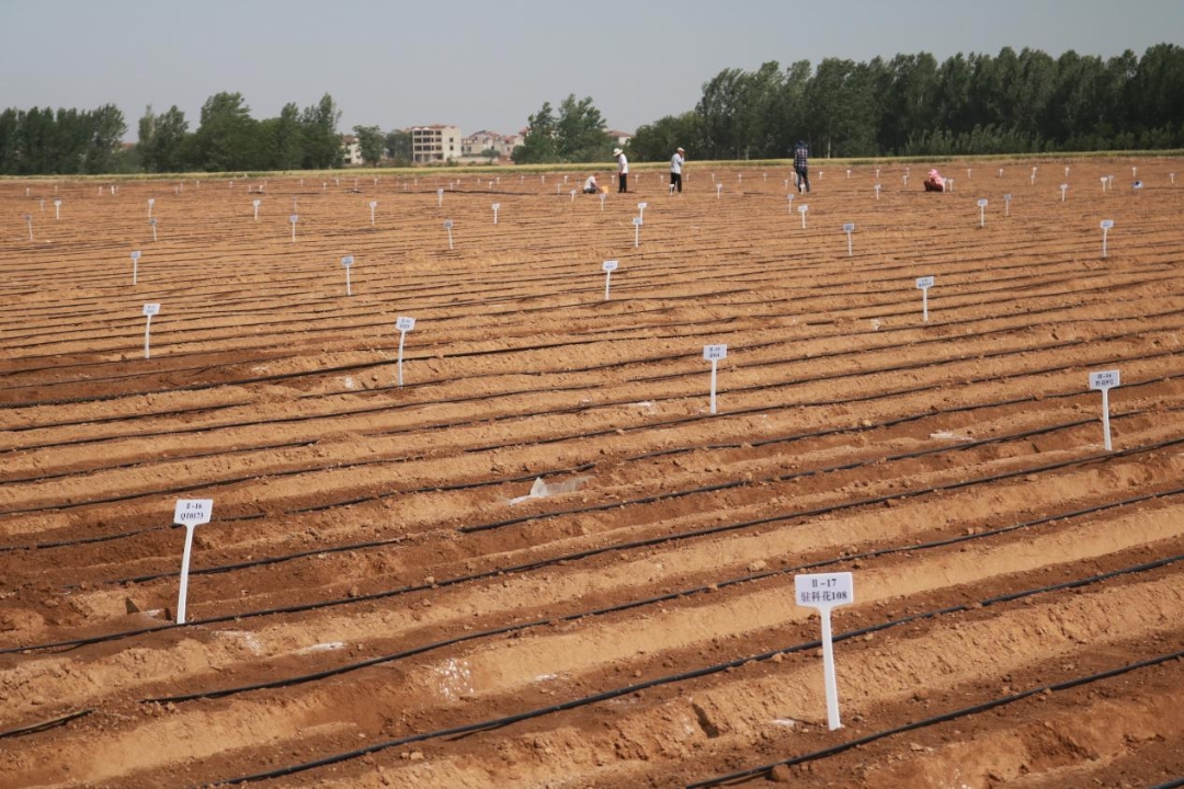 150623405.png 150623405.png