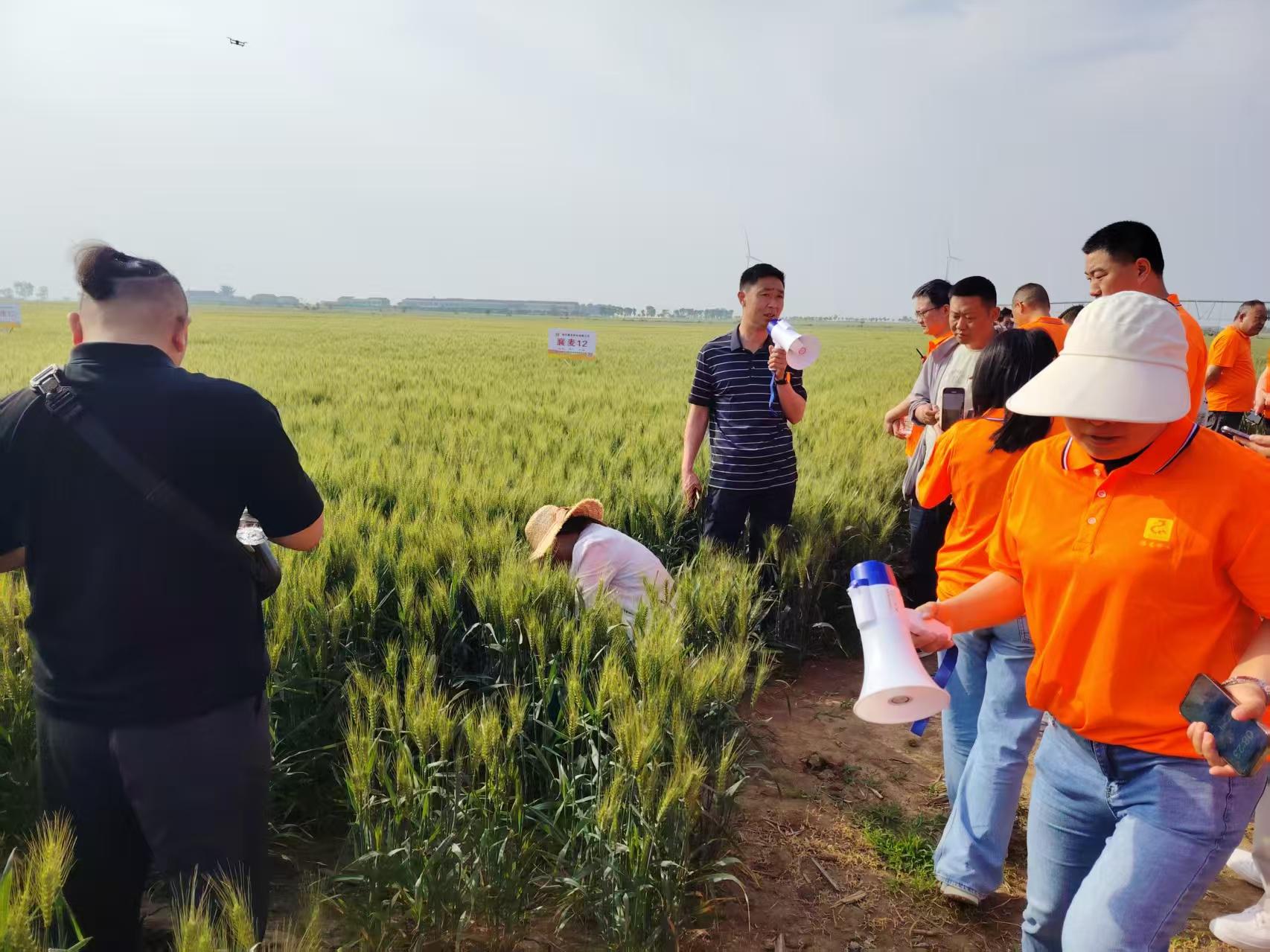 111816992.jpg 111816992.jpg