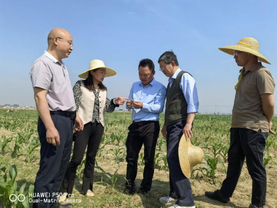 171852116.png image.png