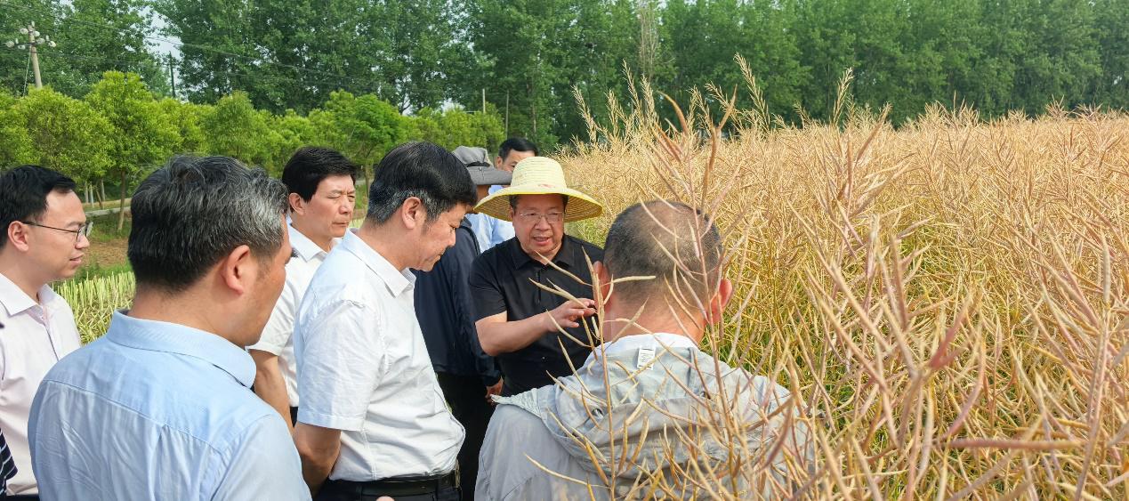 175306300.jpg 175306300.jpg