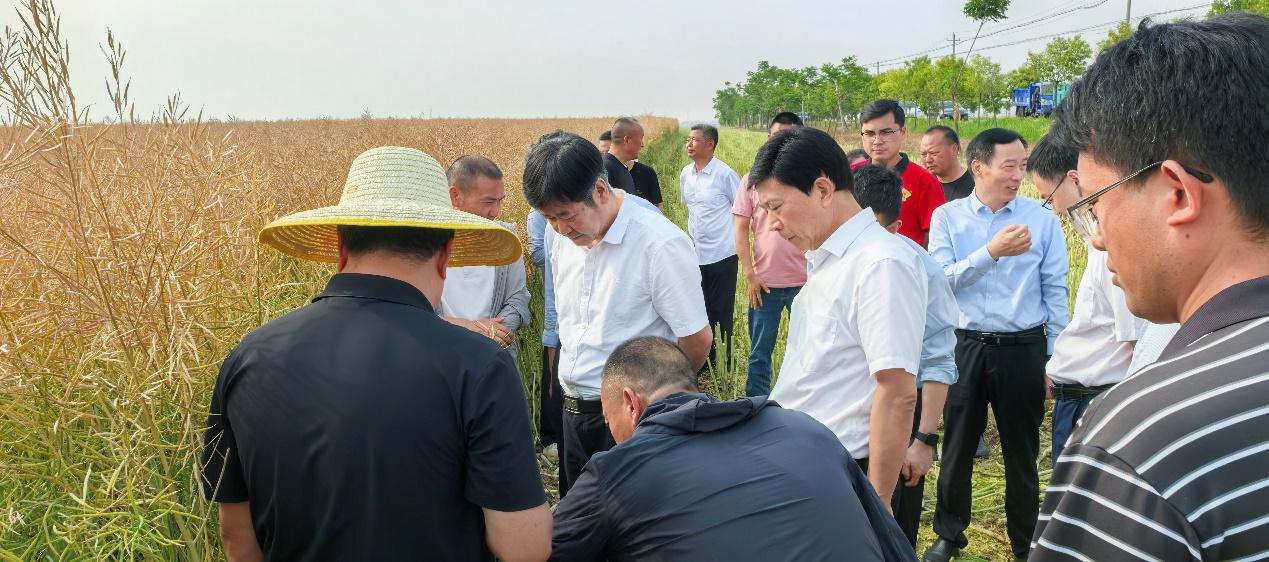 175318133.jpg 175318133.jpg