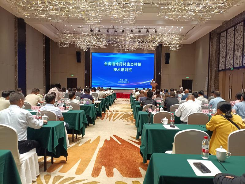 132045578.jpg 微信图片_20250516203117.jpg