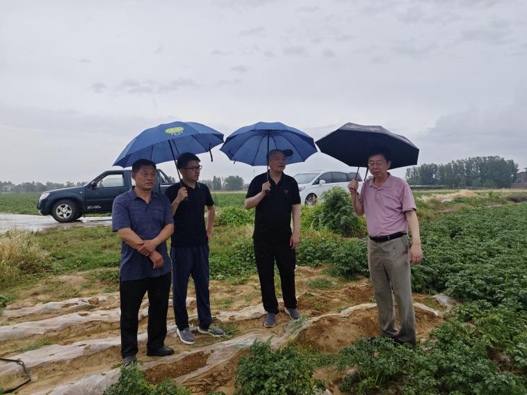 092532290.jpg 092532290.jpg