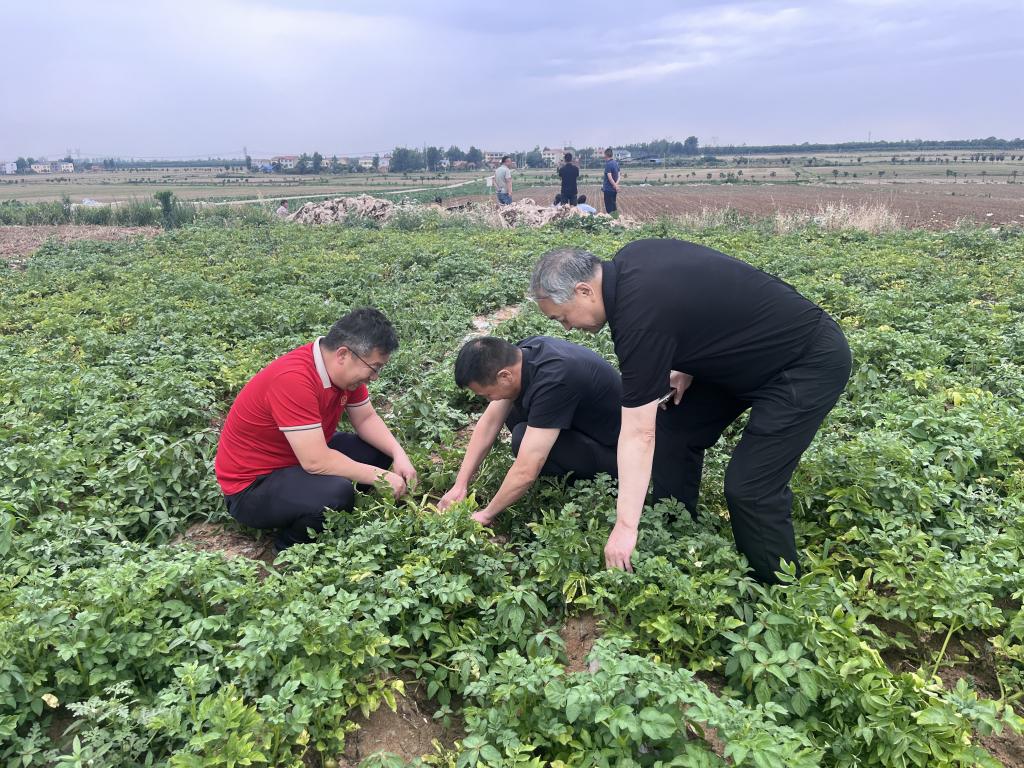 173811999.jpg 173811999.jpg