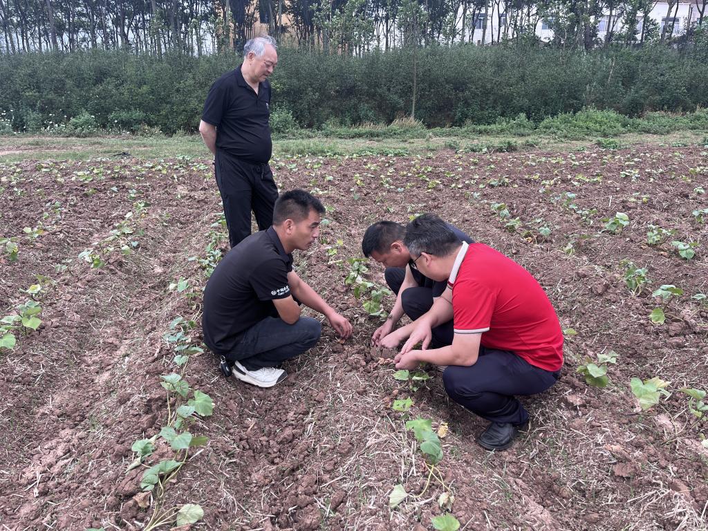 173823755.jpg 173823755.jpg