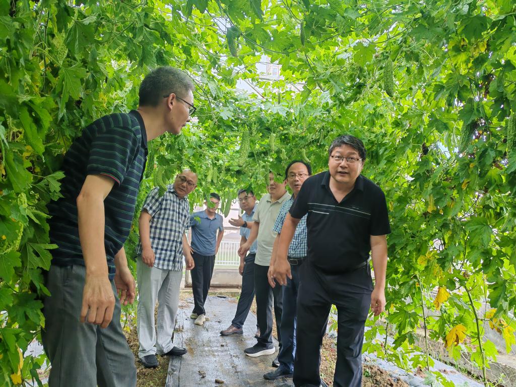 103225554.jpg 图片1_副本.jpg