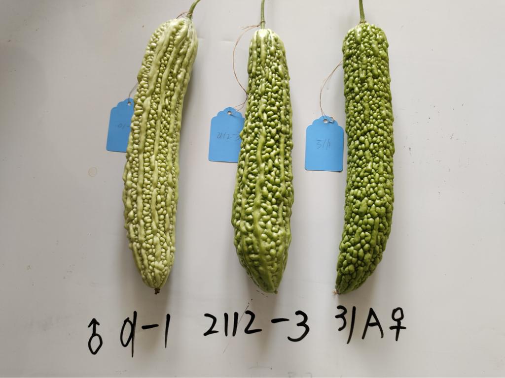 103302846.jpg 图片3_副本.jpg