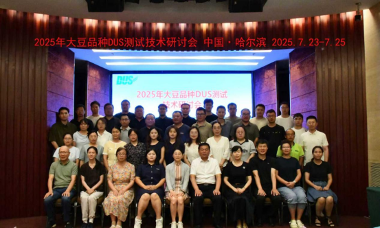 112238245.png image.png