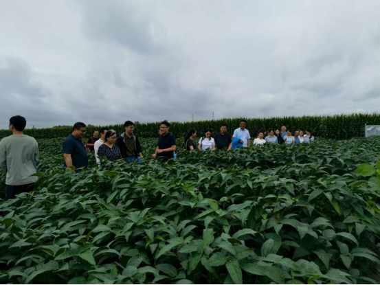 112259139.png image.png