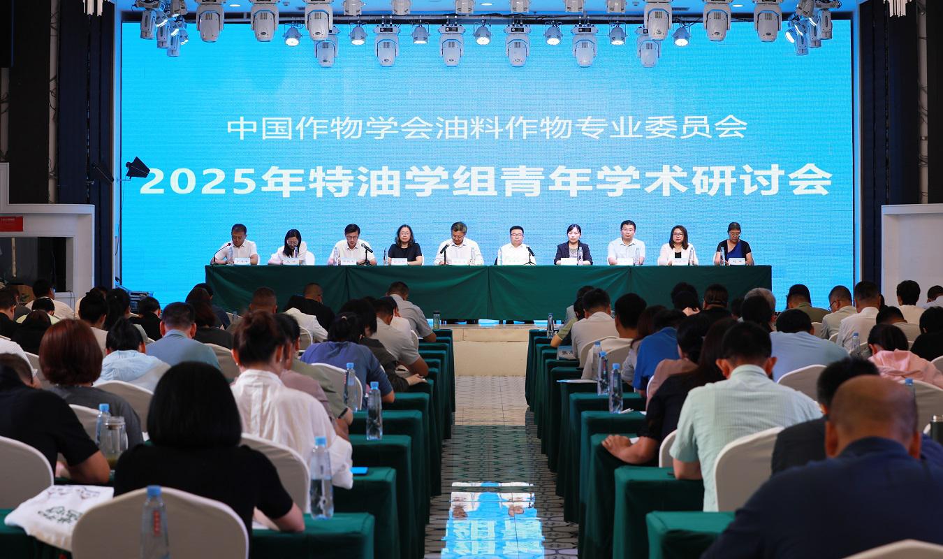 153500101.jpg 153500101.jpg