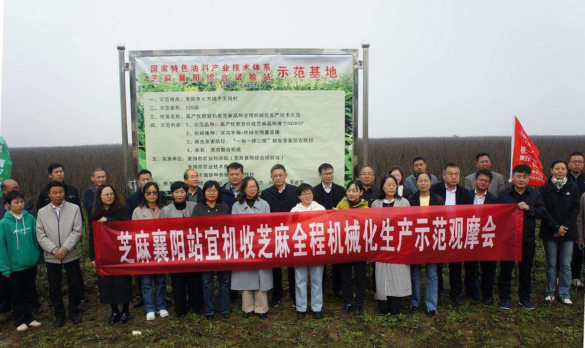 153816634.jpg 153816634.jpg