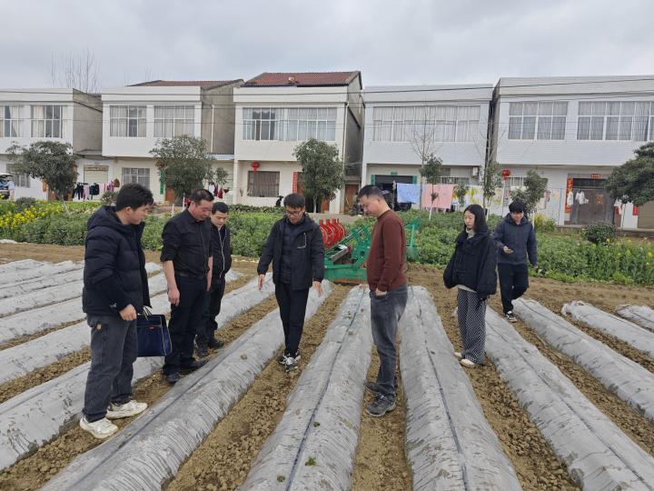 图片3_副本.jpg