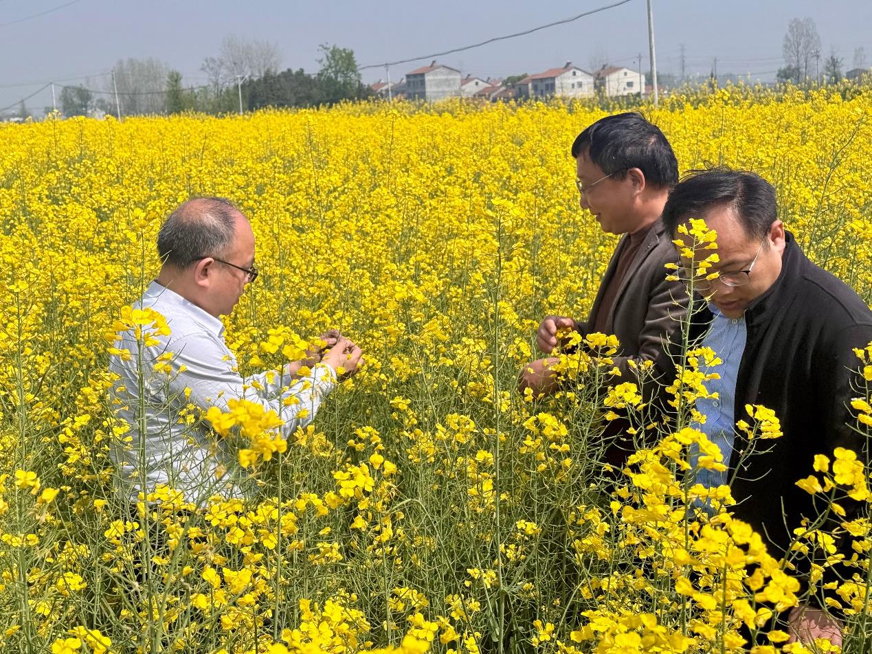 151243.jpg 151243.jpg