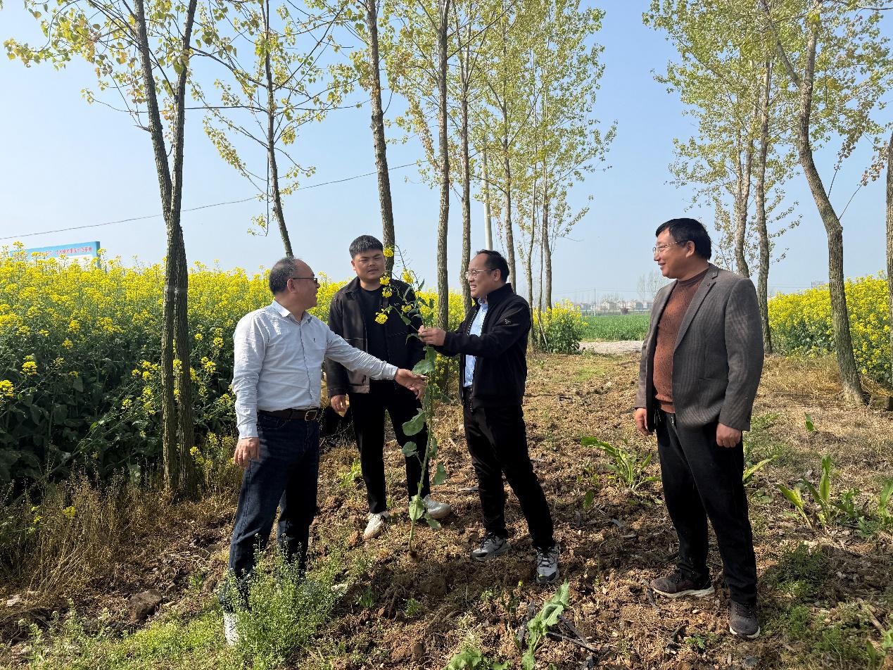 151307.jpg 151307.jpg