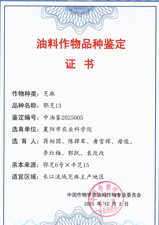093847.png image.png
