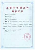 173525.png image.png